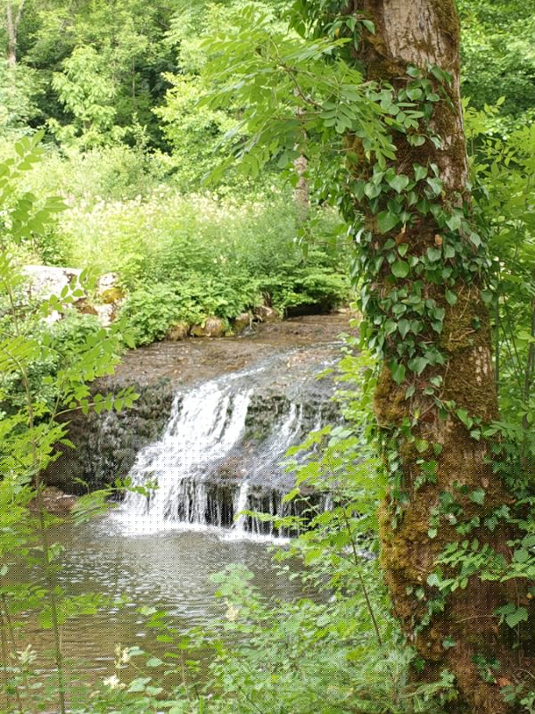 user posted image