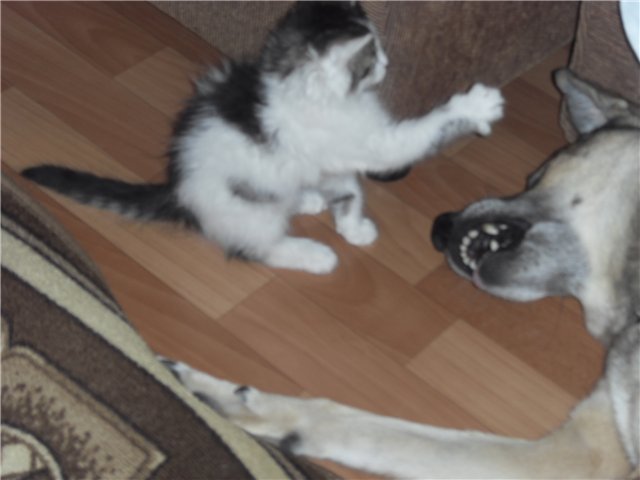 user posted image
