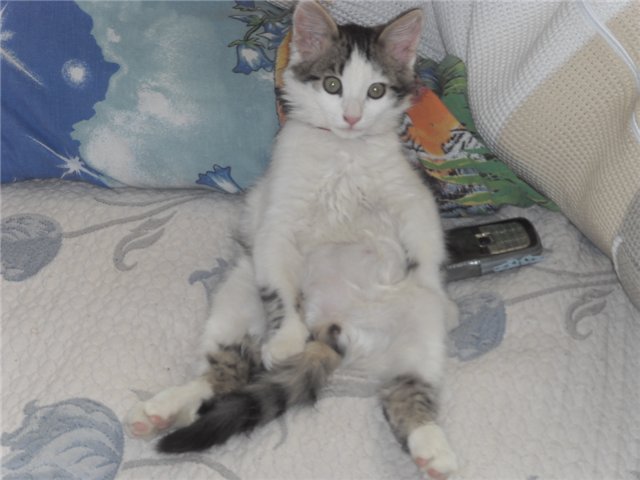 user posted image