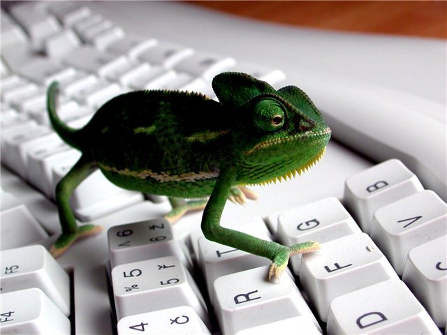 user posted image